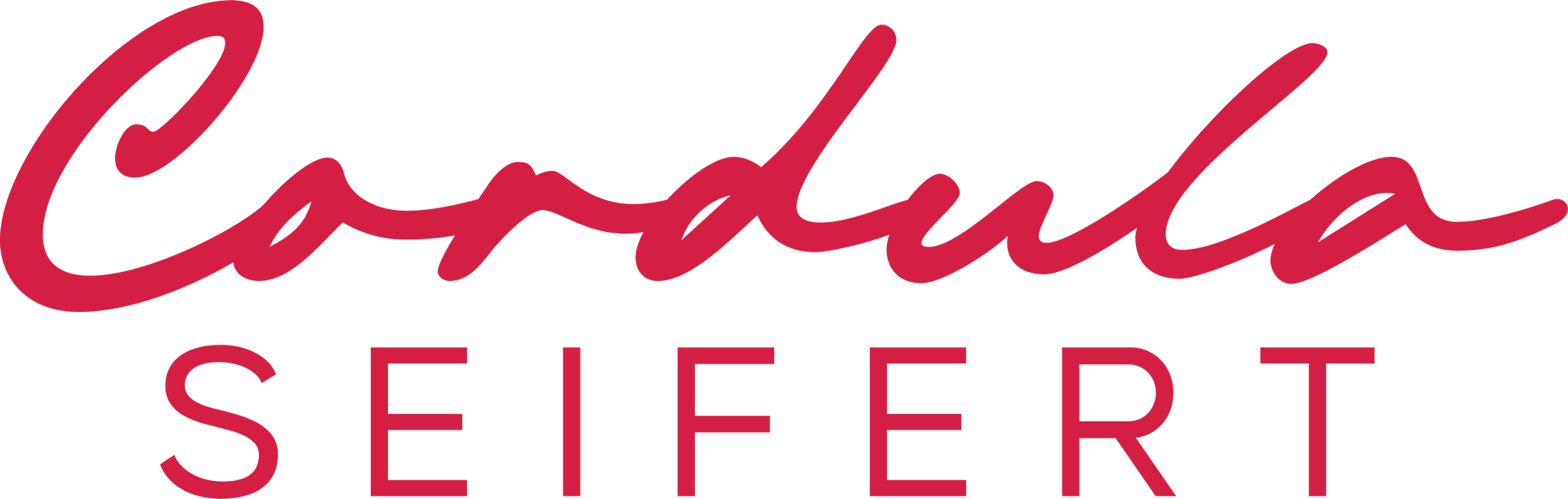 Logo CORDULA SEIFERT - FREIE REDNERIN