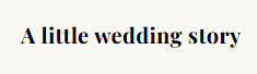 Logo A LITTLE WEDDING STORY